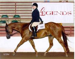 Tristar Twist- 3rd place Just For Pleasure Huntseat Futurity